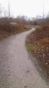 Squalicum Creek Park trail